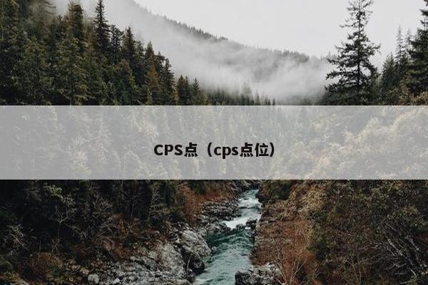 CPS点（cps点位）