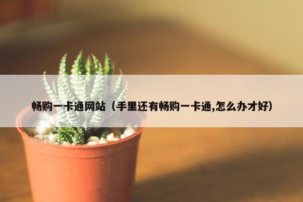 畅购一卡通网站（手里还有畅购一卡通,怎么办才好）