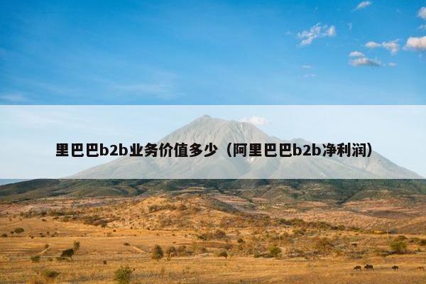 里巴巴b2b业务价值多少（阿里巴巴b2b净利润）