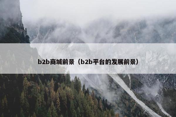 b2b商城前景（b2b平台的发展前景）