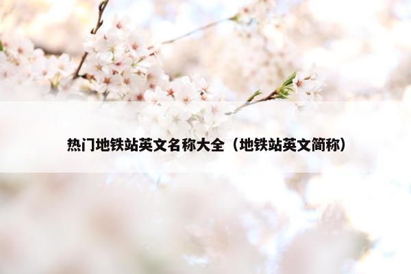 热门地铁站英文名称大全（地铁站英文简称）