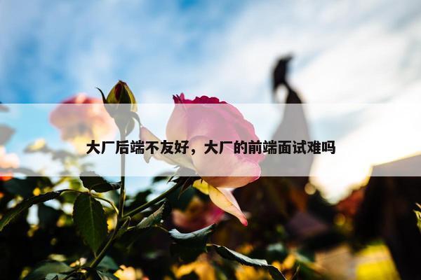 大厂后端不友好，大厂的前端面试难吗