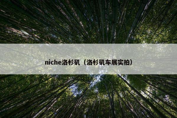 niche洛杉矶（洛杉矶车展实拍）