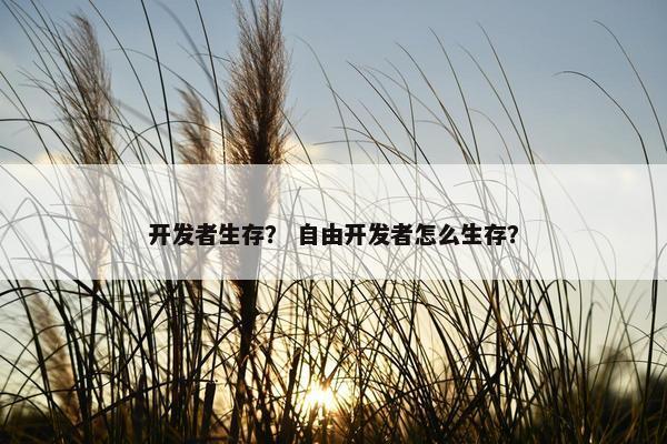 开发者生存？ 自由开发者怎么生存？
