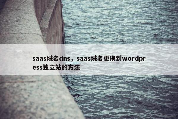 saas域名dns，saas域名更换到wordpress独立站的方法