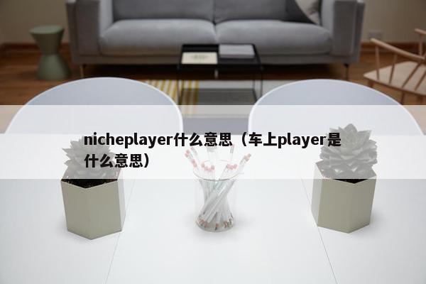 nicheplayer什么意思（车上player是什么意思）