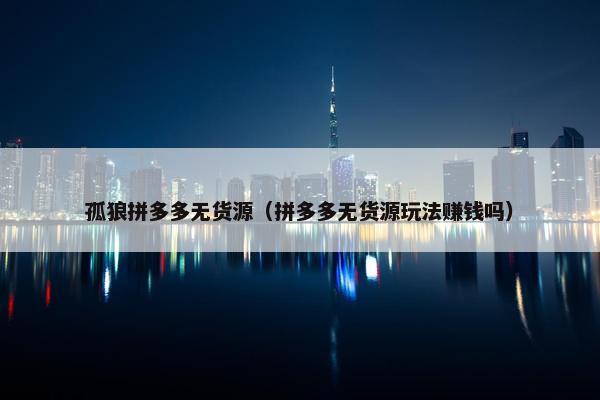 孤狼拼多多无货源（拼多多无货源玩法赚钱吗）
