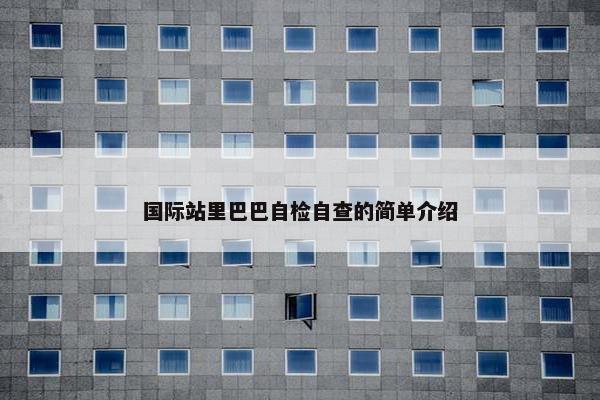 国际站里巴巴自检自查的简单介绍