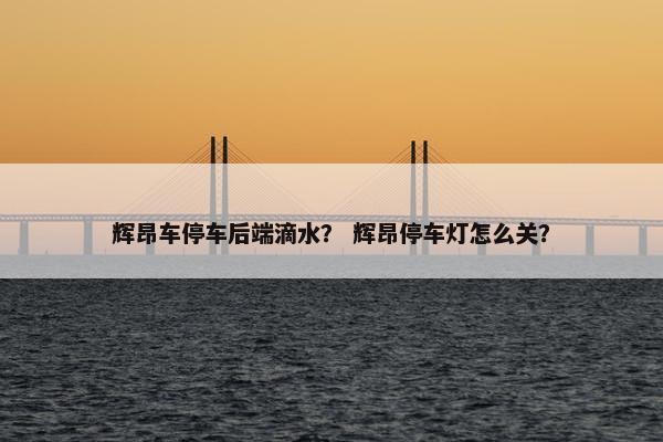 辉昂车停车后端滴水？ 辉昂停车灯怎么关？