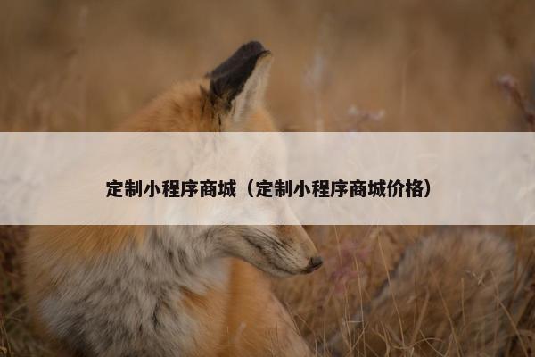 定制小程序商城（定制小程序商城价格）