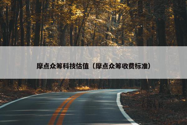 摩点众筹科技估值（摩点众筹收费标准）