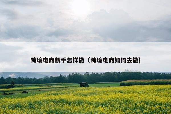 跨境电商新手怎样做（跨境电商如何去做）