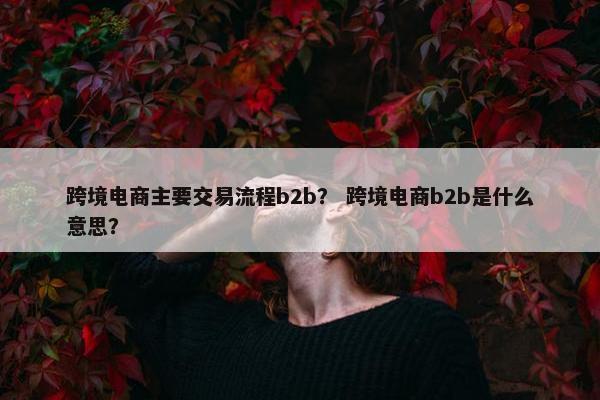 跨境电商主要交易流程b2b？ 跨境电商b2b是什么意思？