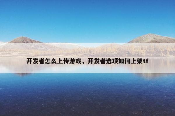 开发者怎么上传游戏，开发者选项如何上架tf