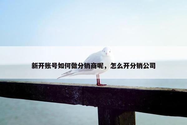 新开账号如何做分销商呢，怎么开分销公司