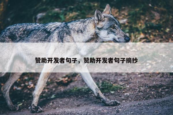 赞助开发者句子，赞助开发者句子摘抄