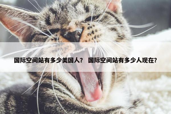 国际空间站有多少美国人？ 国际空间站有多少人现在？