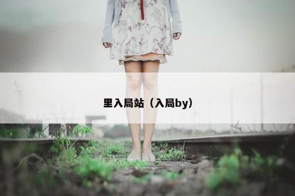 里入局站（入局by）