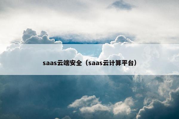 saas云端安全（saas云计算平台）