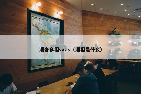 混合多租saas（混租是什么）