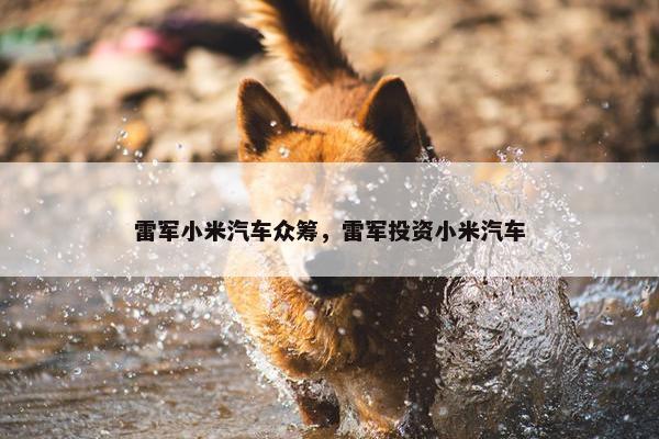 雷军小米汽车众筹，雷军投资小米汽车