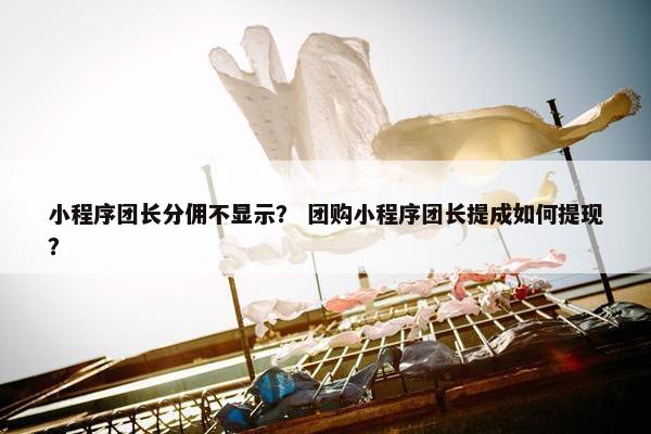 小程序团长分佣不显示？ 团购小程序团长提成如何提现？
