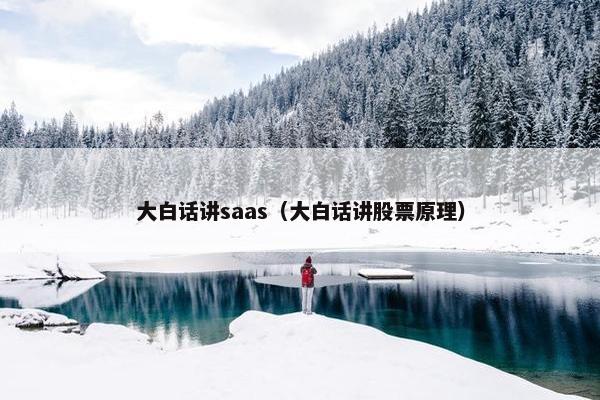 大白话讲saas（大白话讲股票原理）