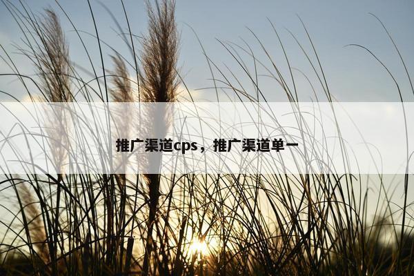 推广渠道cps，推广渠道单一