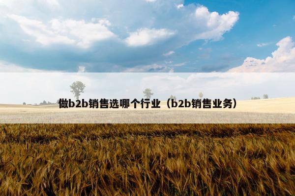 做b2b销售选哪个行业（b2b销售业务）