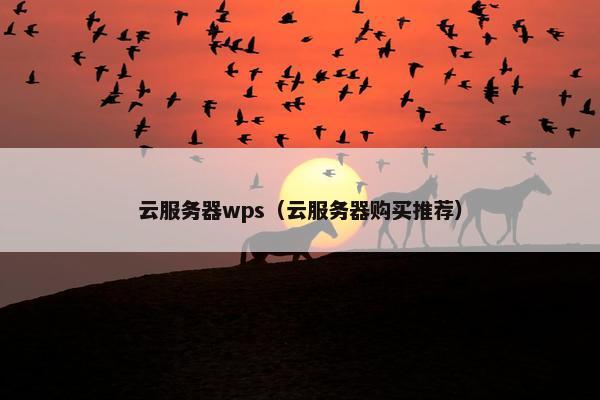 云服务器wps（云服务器购买推荐）