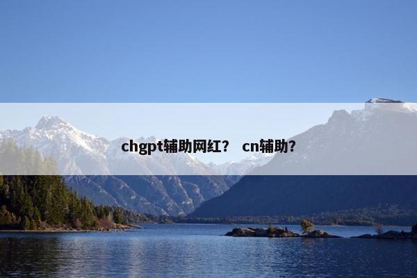 chgpt辅助网红？ cn辅助？