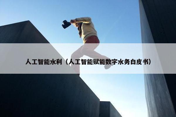 人工智能水利（人工智能赋能数字水务白皮书）
