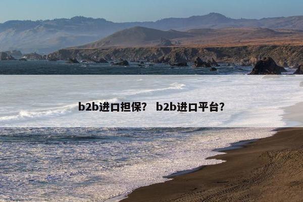 b2b进口担保？ b2b进口平台？