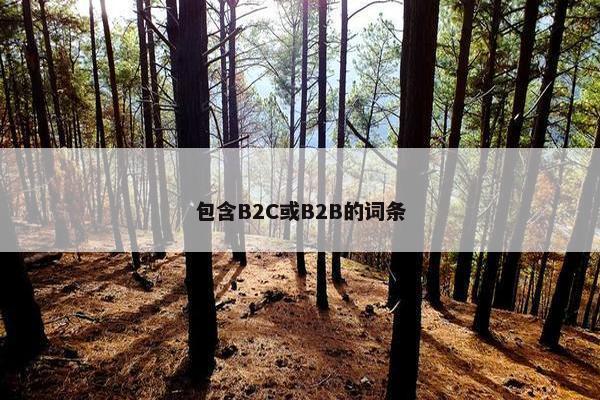 包含B2C或B2B的词条