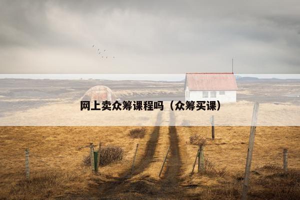 网上卖众筹课程吗（众筹买课）
