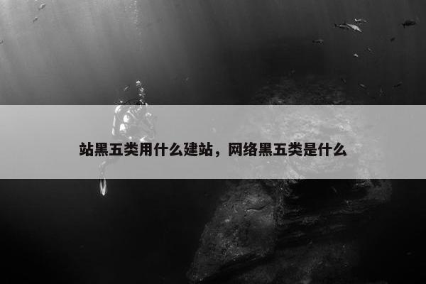站黑五类用什么建站，网络黑五类是什么
