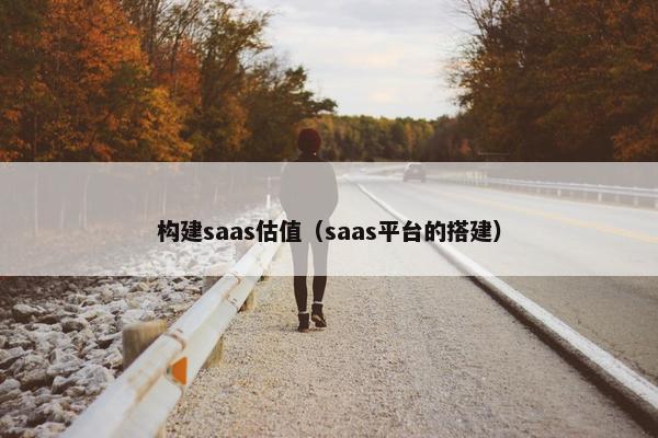构建saas估值（saas平台的搭建）