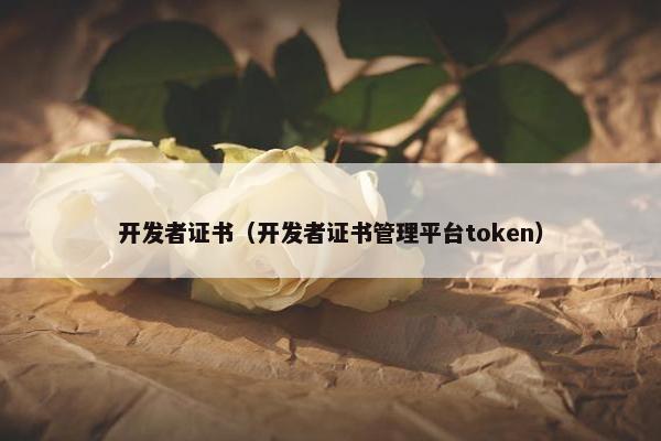 开发者证书（开发者证书管理平台token）