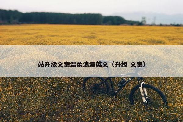 站升级文案温柔浪漫英文（升级 文案）