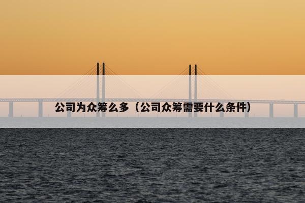 公司为众筹么多（公司众筹需要什么条件）