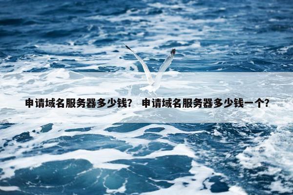 申请域名服务器多少钱？ 申请域名服务器多少钱一个？