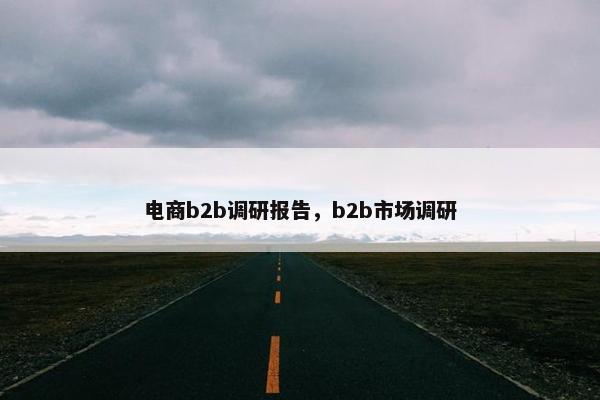 电商b2b调研报告，b2b市场调研