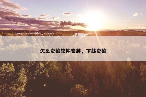 怎么卖菜软件安装，下载卖菜