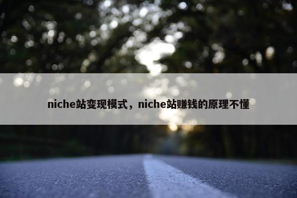 niche站变现模式，niche站赚钱的原理不懂