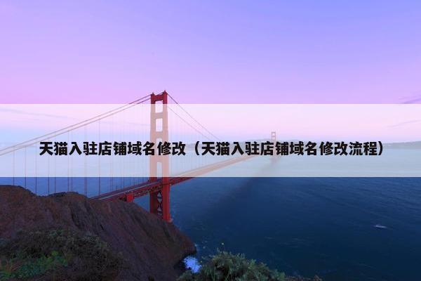 天猫入驻店铺域名修改（天猫入驻店铺域名修改流程）
