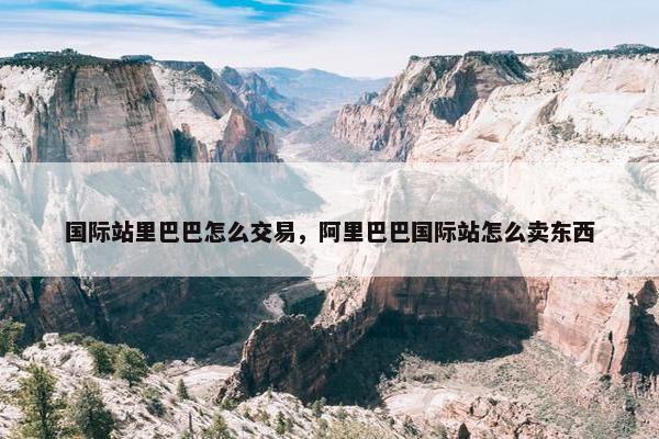 国际站里巴巴怎么交易，阿里巴巴国际站怎么卖东西
