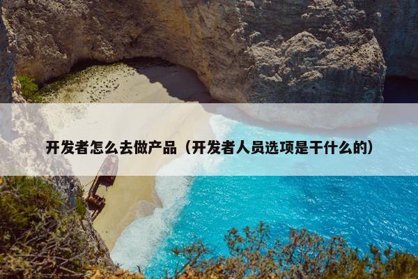 开发者怎么去做产品（开发者人员选项是干什么的）