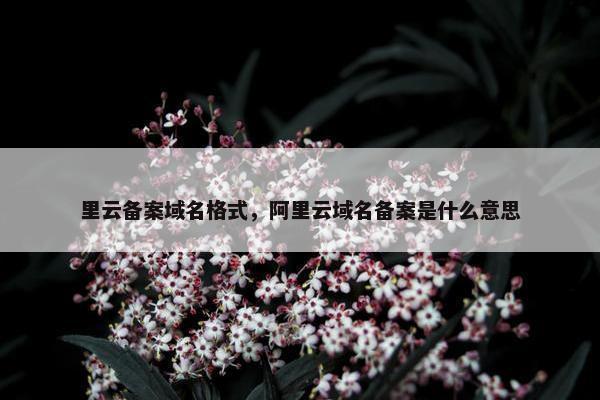 里云备案域名格式，阿里云域名备案是什么意思