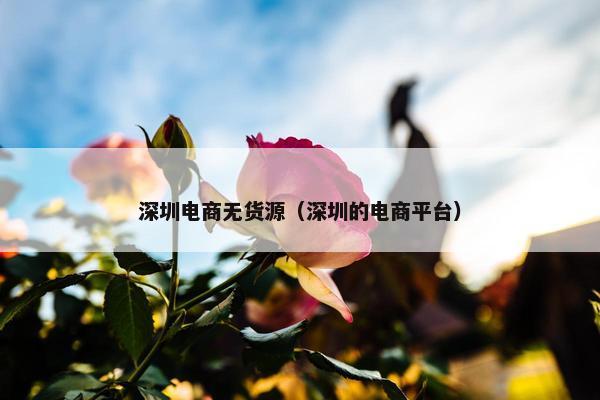 深圳电商无货源（深圳的电商平台）