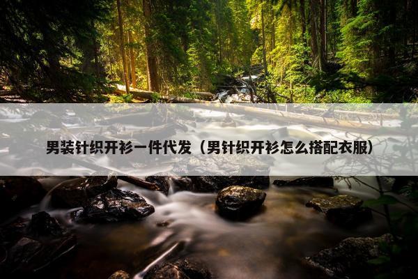 男装针织开衫一件代发（男针织开衫怎么搭配衣服）